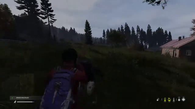 [PS4] DayZ - Trying to explore the map смотреть онлайн