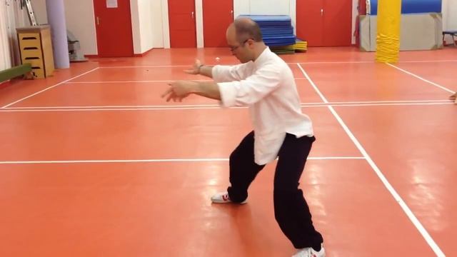 TaiJi style CHEN | LaoJia DiYiLu - Mouvements 39 à 41 (vue de dos) смотреть онлайн