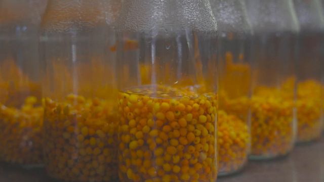 Չիչխանի կոմպոտ - ԻՋԵՎԱՆ/Облепиховый компот - ИДЖЕВАН/Sea buckthorn compote - IJEVAN смотреть онлайн