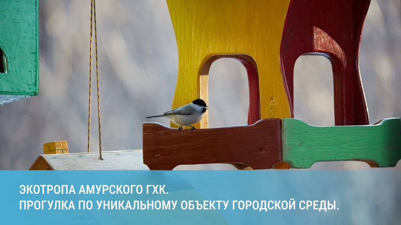 Открытие Экологической тропы Амурского ГХК смотреть онлайн