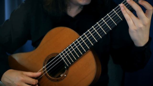 Sting. Fragile. Classical Guitar.