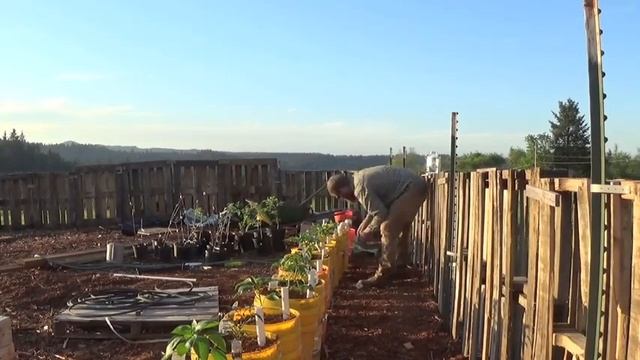 DIY Planters in 5 Gallon Buckets: The Next Evolution! смотреть онлайн