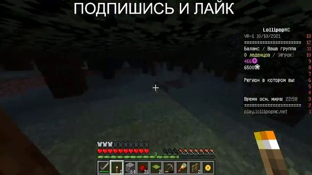 1.17.1 майнкрафт с моим другом айпи сервера:play.lollipopmc.net смотреть онлайн