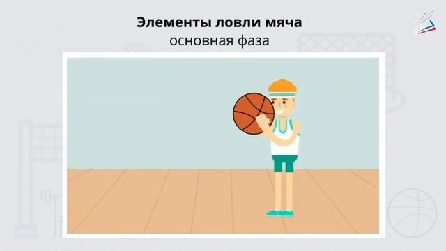 Физическая культура. Тема урока: "Техника ловли и передачи мяча одной рукой" смотреть онлайн