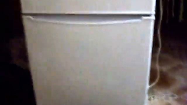 Кот сбивает магнитики с холодильника смотреть онлайн