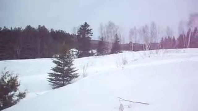 skidoo freestyle 300 5 смотреть онлайн
