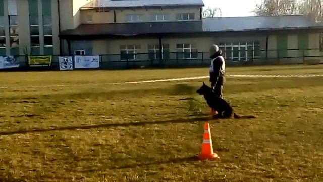 АДАМ ИЗ БОБРУЙСКОЙ КРЕПОСТИ Белорусский ринг смотреть онлайн