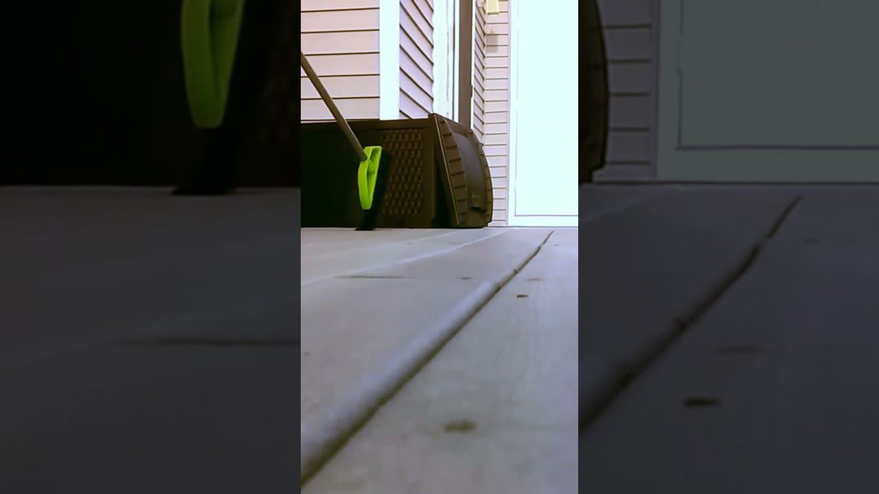 Кто хотел енота Педро