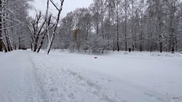 СОКОЛЬНИКИ ЗИМОЙ | ПРОГУЛКА ПО ЛЕСУ | СНЕЖОК #зима #москва #прогулкапогороду #парки #снег смотреть онлайн