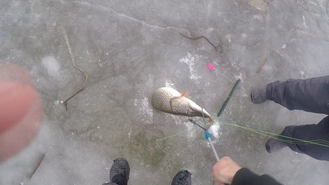  смотреть онлайн