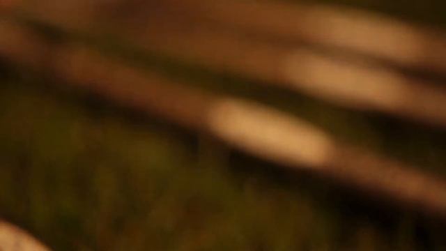 ZEMEX Special Pole смотреть онлайн