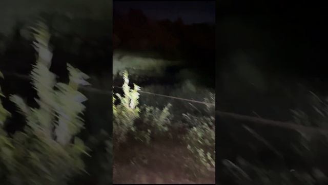 Нива, УАЗ, Мицубиси Паджеро и Ниссан Патрол на бездорожье. Ночное утопление Нивы смотреть онлайн