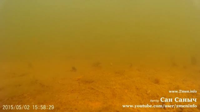 Одинокий окунь прошмыгнул снято на SJ4000 смотреть онлайн