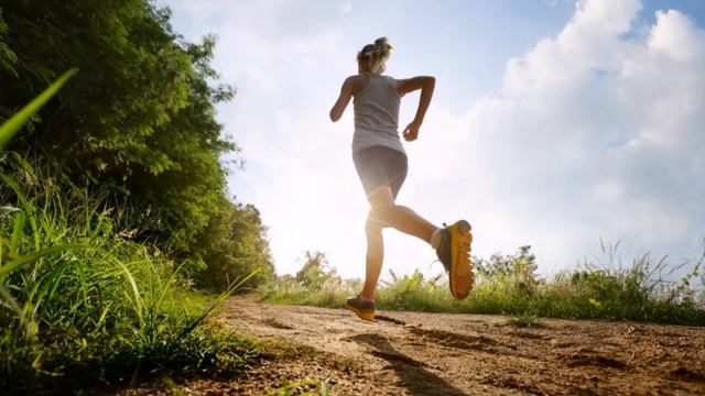 Полёт стрекозы смотреть онлайн