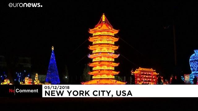 Зимняя сказка в Нью-Йорке