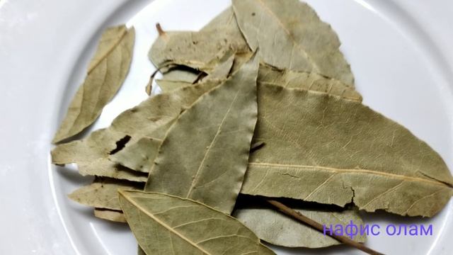 Лавр баргларининг фойдали ва зарарли хусусиятлари/ лавровый лист
