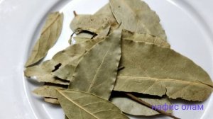 Лавр баргларининг фойдали ва зарарли хусусиятлари/ лавровый лист