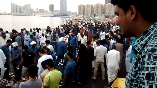 Ajman Fish Market - Fish Auction смотреть онлайн