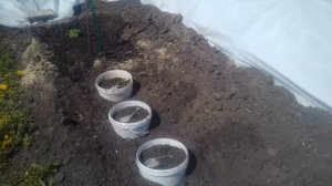 Посадка КАБАЧКОВ в ВЕДРА.  30.04.2019г.