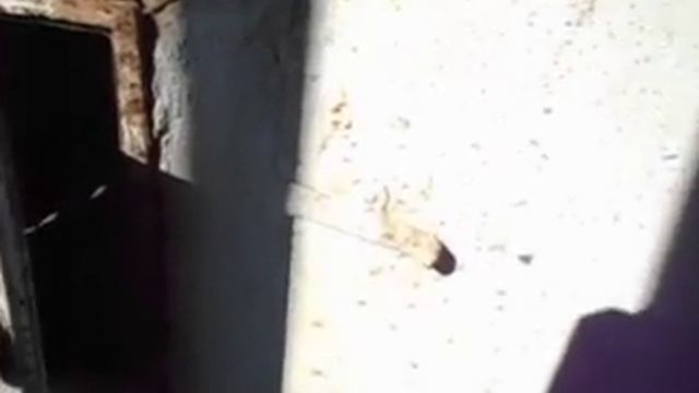 ШВЕДКА С НОВОЙ ТОПКОЙ смотреть онлайн