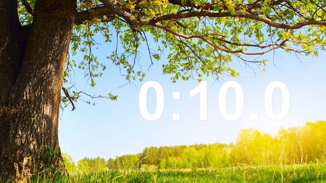 СЕКУНДОМЕР ⏱️ на 10 секунд