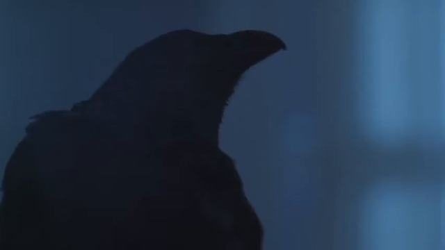 Чорна Карта - Чорний Ворон смотреть онлайн