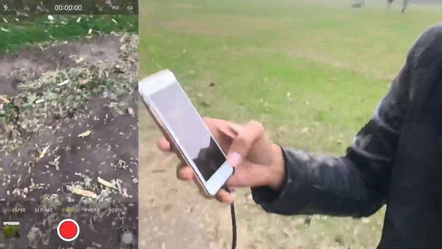 iPhone 7 Plus Full Camera Review смотреть онлайн
