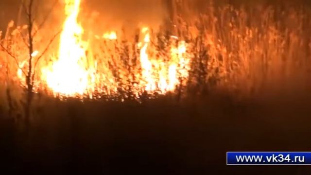 Пожар на Ангарском в лесном массиве смотреть онлайн