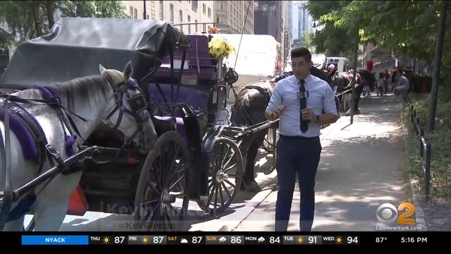 New proposal aims to get rid of horse-drawn carriages in NYC смотреть онлайн