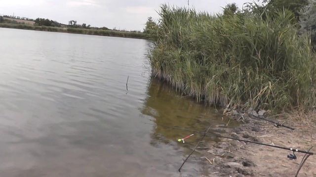 РЫБАЛКА | ЧИСТОПОЛЬ | НЕОЖИДАННЫЙ КОНЕЦ РЫБАЛКИ смотреть онлайн