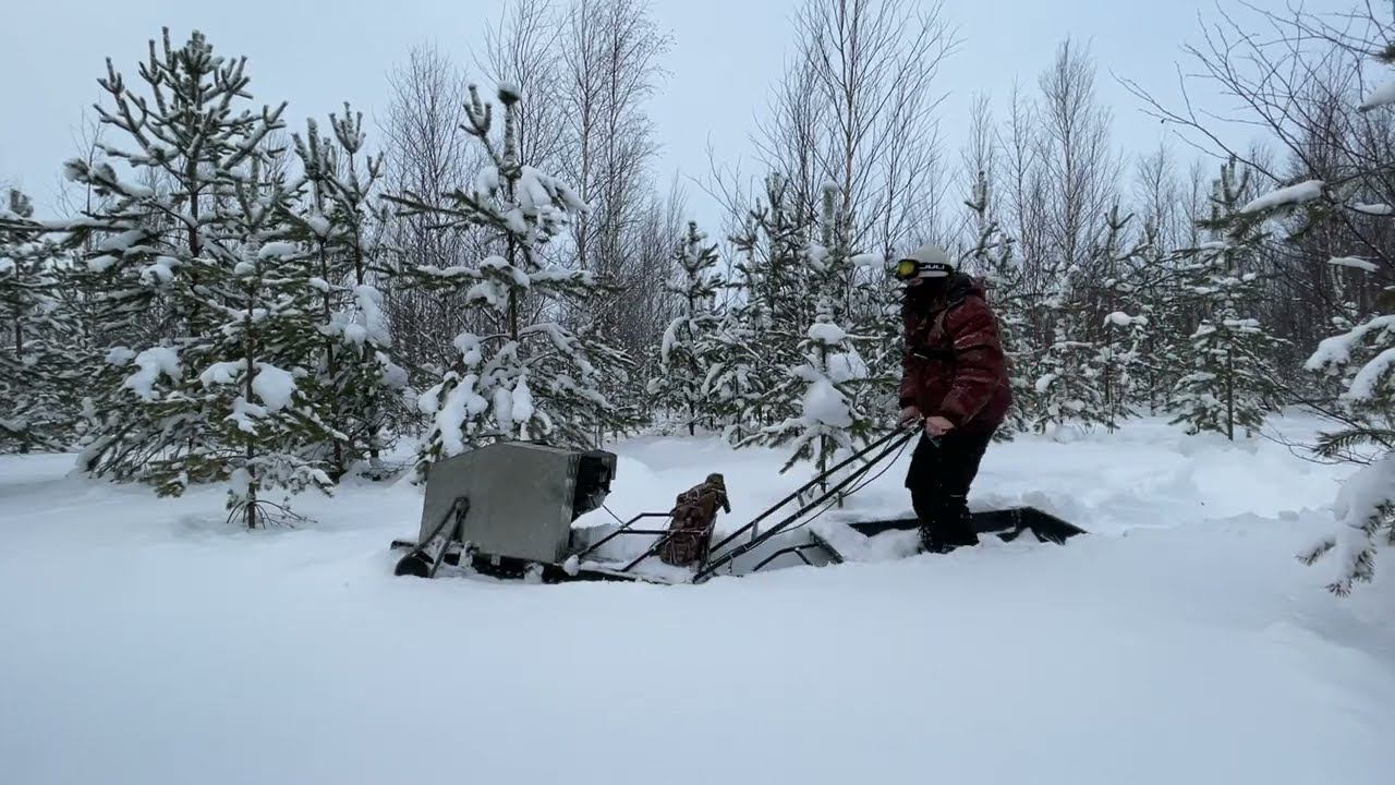 Поехал в лес/ Правильная мотособака/ глубина 70см смотреть онлайн