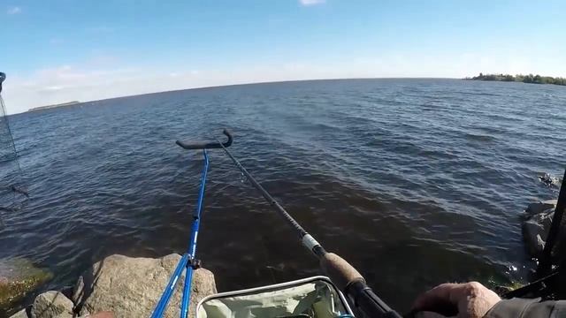 Рыбалка на фидер с продукцией ФЛАГМАН. Северная дамба ФЗ. СПб. . Весна 2019 г. смотреть онлайн
