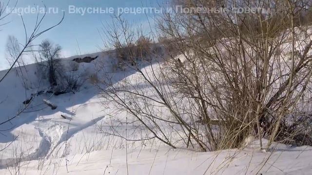 Клевая рыбалка 2019 смотреть онлайн