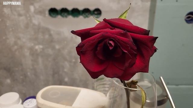 У МЕНЯ 3 ПСИХОЛОГА !? / ПО ДУШАМ/ НАКОНЕЦ НАШЛИ ОБУВЬ смотреть онлайн