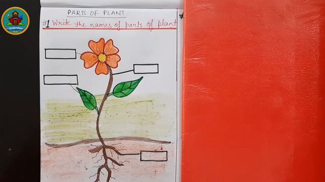 Parts of a plant for Grade 1 kids || Worksheets on Parts of plant || घर पर ही प्रैक्टिस कराऐं смотреть онлайн