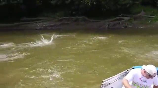 Азиатский карп рыбалка смотреть онлайн