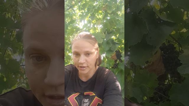 мел горный и речной мел смотреть онлайн