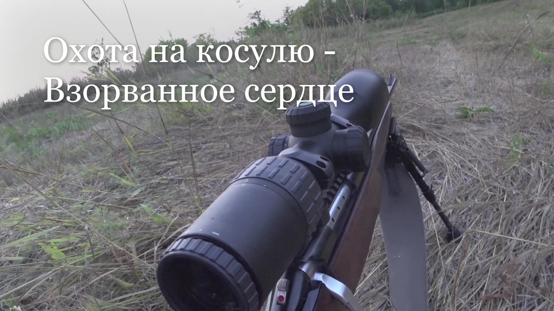 Охота на косулю - Взорванное сердце смотреть онлайн