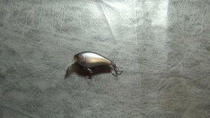 Видеообзор воблера Jackall Aska 50 SR по заказу Fmagazin