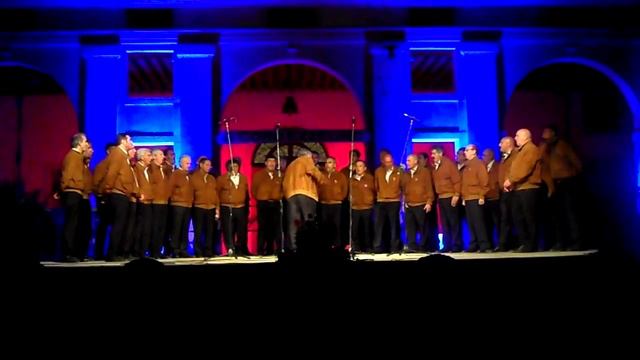 the lions slips to night смотреть онлайн