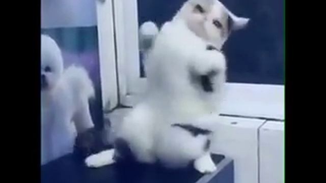 Просто классные танцы смотреть онлайн