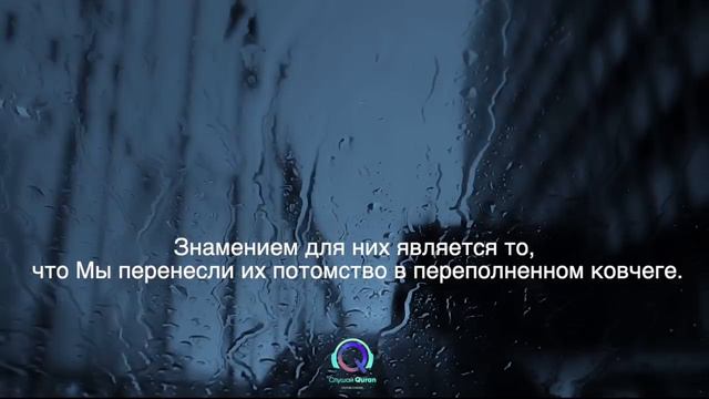 Ясин слушайте коран укрепляйте иман. как прекрасно он читает коран. изумительное чтение корана смотреть онлайн