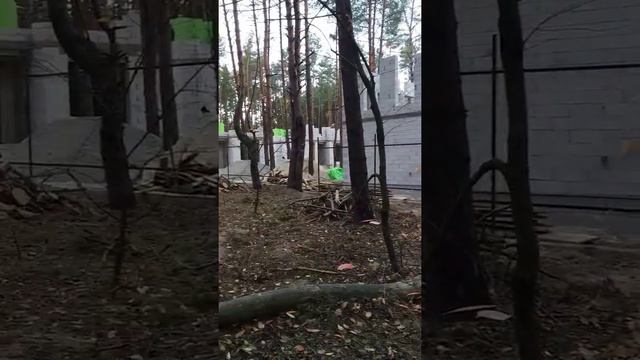 Вырезка леса , Киев Бортничи 2019 , постройка халупы. смотреть онлайн