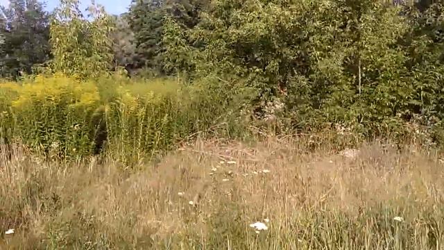 гектары украинской земли в 20 км. от метро "Теремки". смотреть онлайн