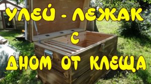 УЛЕЙ ЛЕЖАК СВОИМИ РУКАМИ С ДНОМ ОТ КЛЕЩА ВАРРОА. КАК СДЕЛАТЬ УЛЕЙ СВОИМИ РУКАМИ.