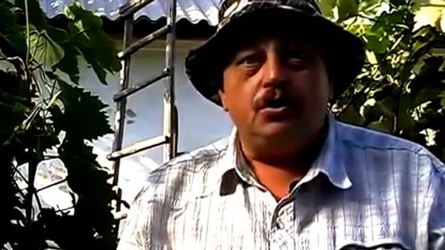 Наш огород.Виноград---как выращивать. смотреть онлайн