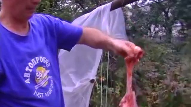 Разделка барана по Карачаевским обычаям. смотреть онлайн