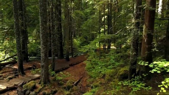 Гарри Поттер и Узник Азкабана смотреть онлайн