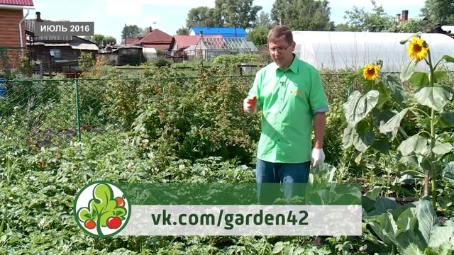 КОНСУЛЬТАНТ САДОВОДА 106 смотреть онлайн