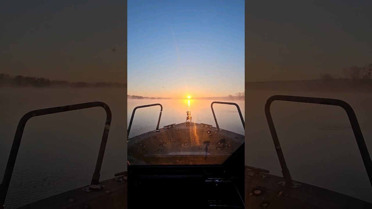 В туман. смотреть онлайн